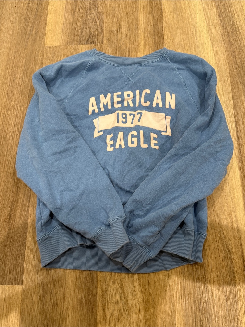 American Eagle Outfitters Light Blue Graphic Crewneck Sweatshirt